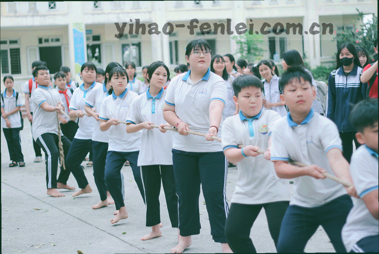 客厅沙发上家人共用一台平板浏览分类页面，画面明亮柔和